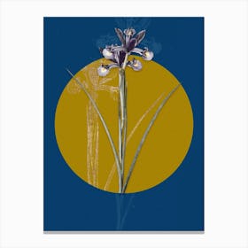 Vintage Botanical Spanish Iris on Circle Yellow on Blue Canvas Print