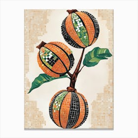 Oranges On A Branch Canvas Print