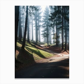 Road In The Forest Canvas Print