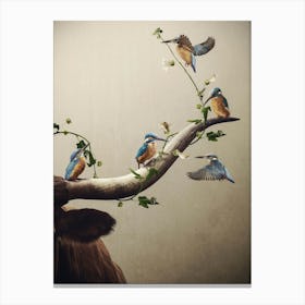 Birds On A Bull Horn Canvas Print