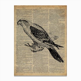 Parrot Bird Canvas Print
