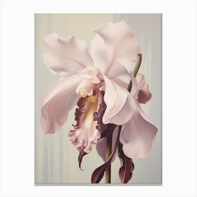 Floral Illustration Orchid 1 Canvas Print