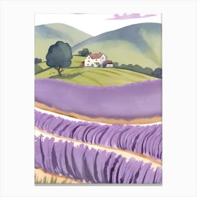 Lavender Field 6 Canvas Print