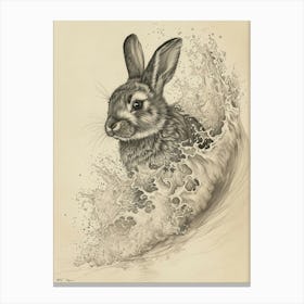 Tans Rabbit Drawing 4 Canvas Print