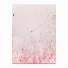 Birds on a Wire - Pink Canvas Print