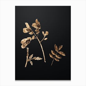 Gold Botanical Pistachio on Wrought Iron Black n.0477 Canvas Print