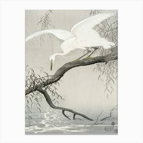 White Heron On Tree Branch (1900 1910), Ohara Koson Canvas Print