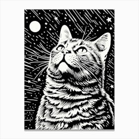 Celestial Purrfection, Psychedelic Cats series Canvas Print