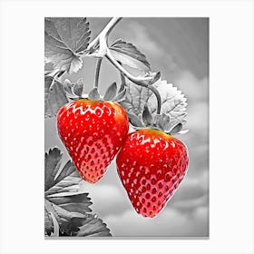 Two Strawberries On A Branch Canvas Print