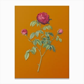 Vintage Agatha Rose in Bloom Botanical on Sunset Orange n.0809 Canvas Print