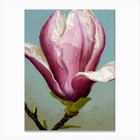 Magnolia 7 Canvas Print