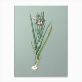 Vintage Ferraria Botanical Art on Mint Green Canvas Print