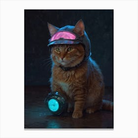 Cat In A Helmet 1 Canvas Print