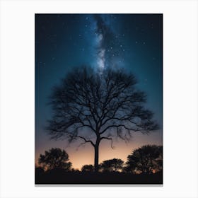 Starry Sky Over Tree Canvas Print