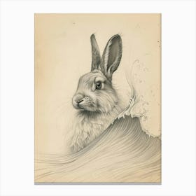 English Angora Rabbit Drawing 1 Canvas Print