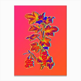 Neon Redcurrant Plant Botanical in Hot Pink and Electric Blue n.0090 Canvas Print