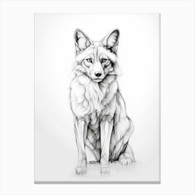 Corsac Fox Line Drawing 2 Canvas Print