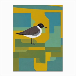 Grey Plover Midcentury Illustration Bird Canvas Print