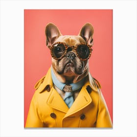 A French Bulldog Dog Canvas Print