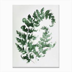 Green Ink Painting Of A Hares Foot Fern 3 Canvas Print