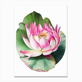 Pink Lotus Decoupage 4 Canvas Print