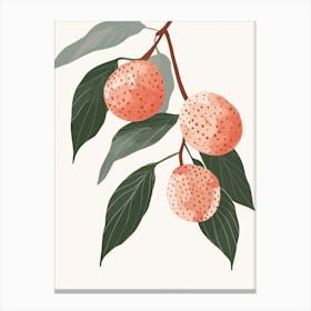 Lychee Close Up Illustration 3 Canvas Print