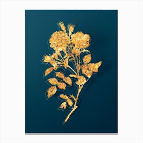 Vintage Queen Elizabeth's Sweetbriar Rose Botanical in Gold on Teal Blue n.0105 Canvas Print
