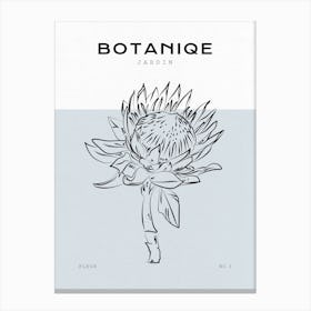 Boho Bohemian 2 Protea Canvas Print