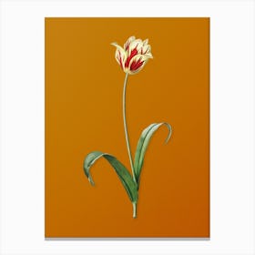 Vintage Didier's Tulip Botanical on Sunset Orange n.0091 Canvas Print
