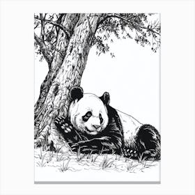 Giant Panda Laying Under A Tree Ink Illustration 2 Canvas Print