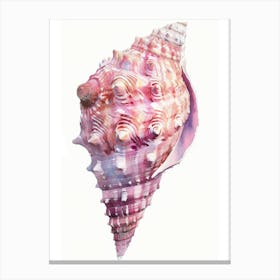 Pink Conch Shell Canvas Print