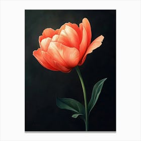 Tulip Canvas Print