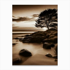 Lone Tree At Sunset 13 Canvas Print