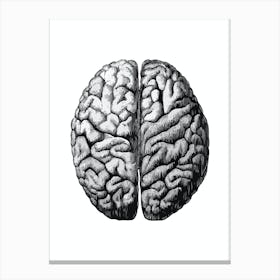 Black and white Brain Canvas Print