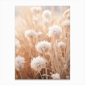 Boho Dried Flowers Asters 1 Canvas Print