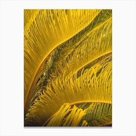 Yellow Palm Leaves Canvas Print