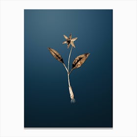 Gold Botanical Erythronium on Dusk Blue n.1307 Canvas Print