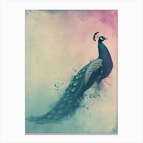Pink & Turquoise Peacock Cyanotype Inspired Canvas Print