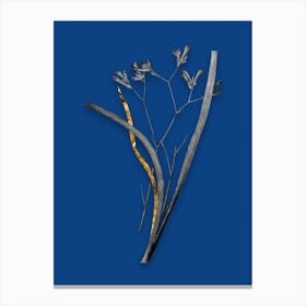 Vintage Anigozanthos Flavida Black and White Gold Leaf Floral Art on Midnight Blue Canvas Print