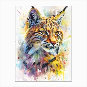 Bobcat Colourful Watercolour 2 Canvas Print