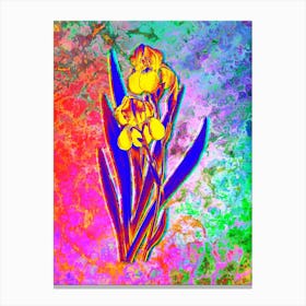German Iris Botanical in Acid Neon Pink Green and Blue n.0280 Canvas Print
