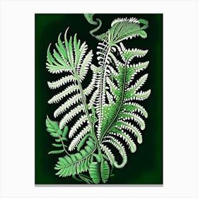 Netted Chain Fern 1 Vintage Botanical Poster Canvas Print