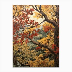 Slippery Elm 1 Vintage Autumn Tree Print  Canvas Print