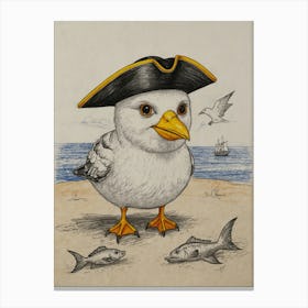 Pirate Bird 7 Canvas Print