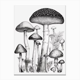 Mushroom Drawing B&W 1 Canvas Print