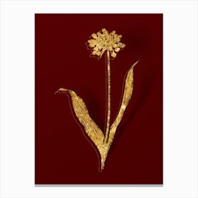Vintage Golden Garlic Botanical in Gold on Red Canvas Print