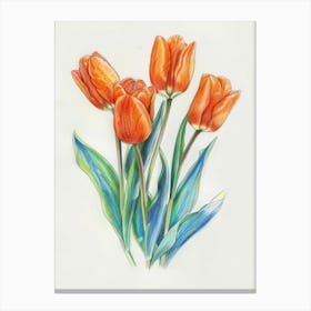 Orange Tulips 4 Canvas Print