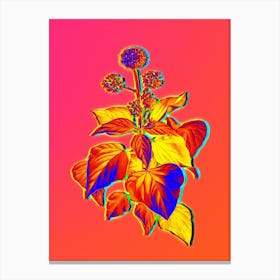Neon Common Ivy Botanical in Hot Pink and Electric Blue n.0218 Canvas Print