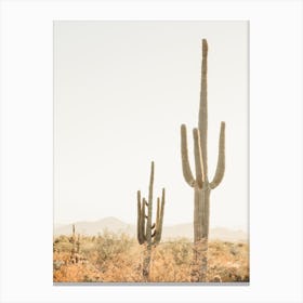 Saguaro Cactus Desert Canvas Print