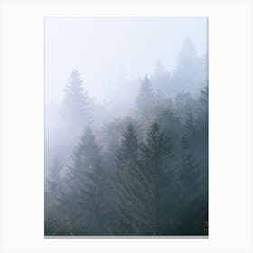Foggy Forest 1 Canvas Print